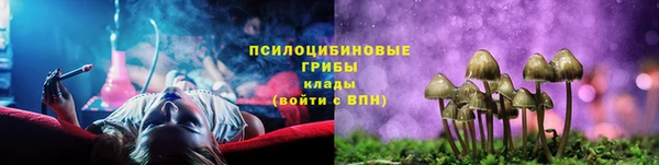 спиды Абинск