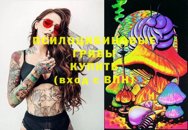 mix Абаза