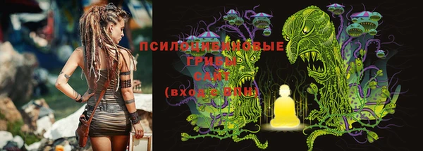 хмурый Каменногорск