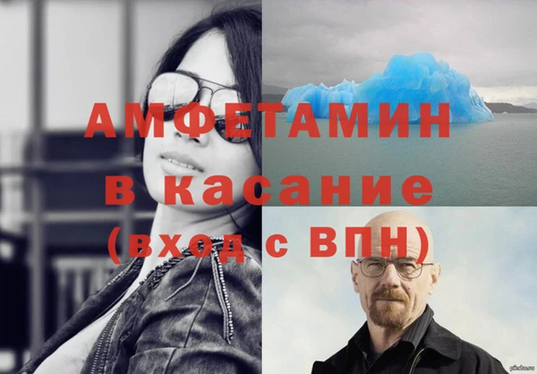 гидра Каменка