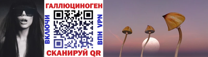 Галлюциногенные грибы мицелий  купить наркоту  mega как войти  Ангарск 
